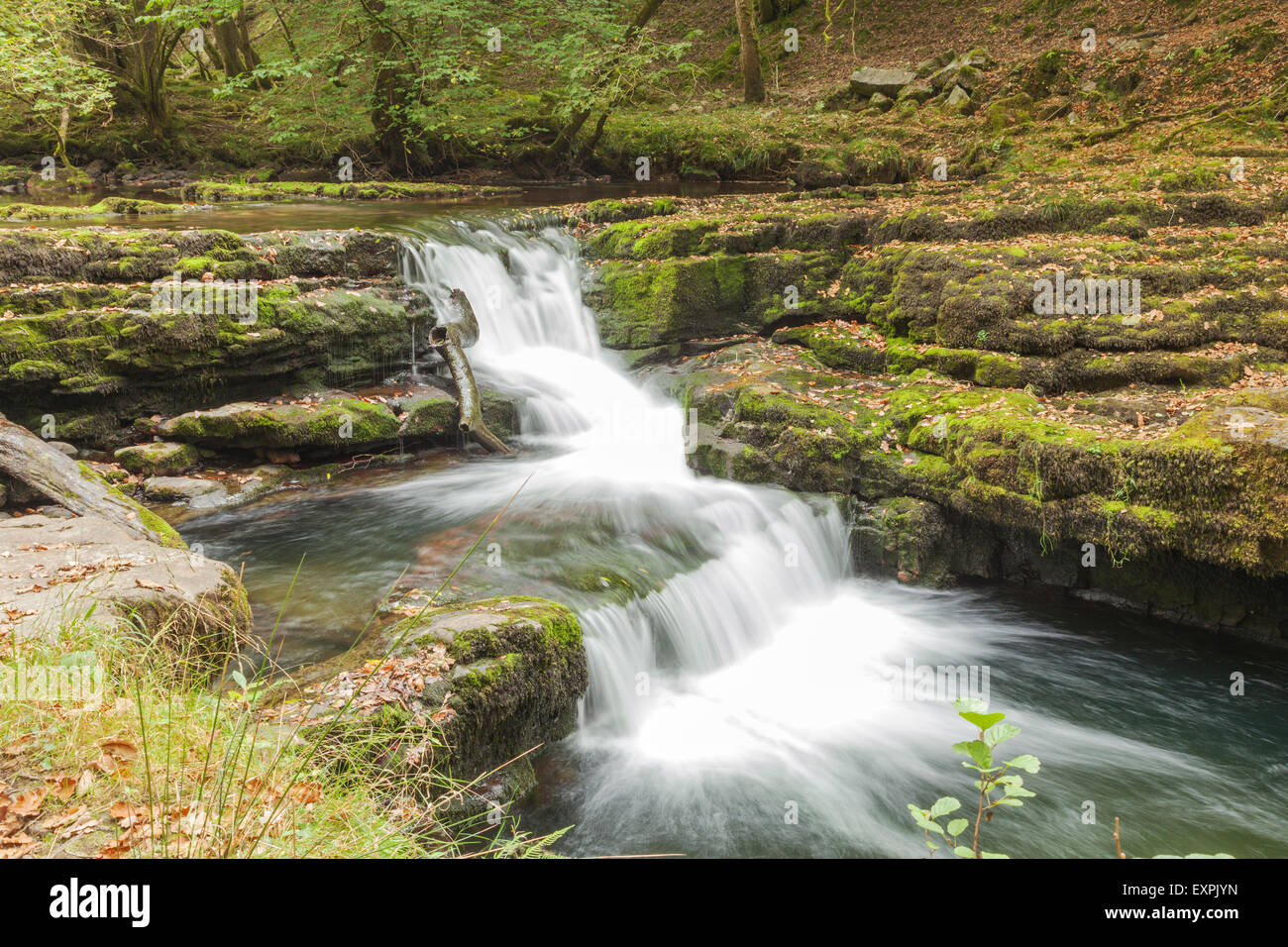 Cascade sur la rivière Nedd Fechan, entre Pont Melin-fach et Pontneddfechan, parc national de Brecon Beacons, Powys, Pays de Galles du Sud Banque D'Images