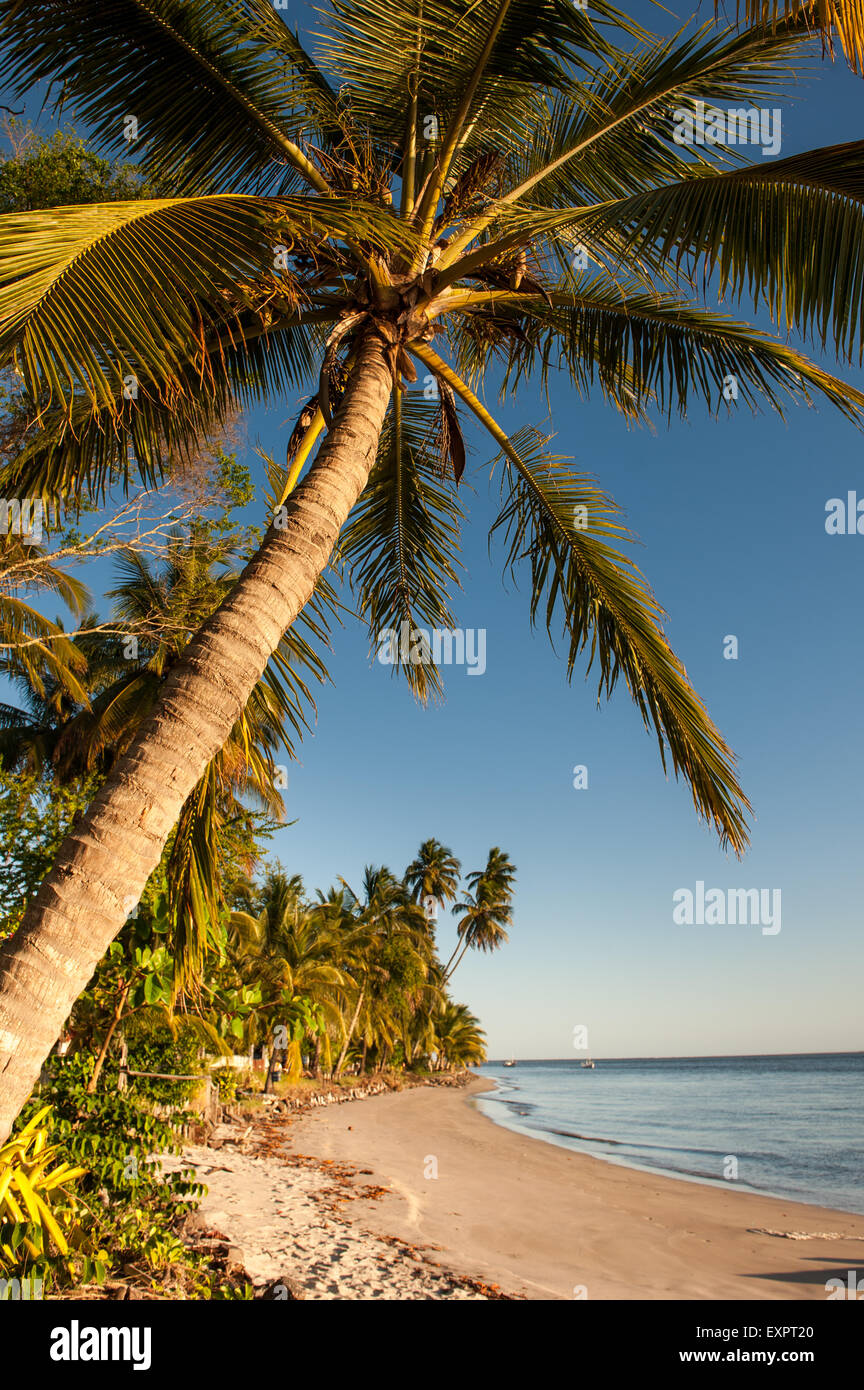 L'île de Itaparica, Etat de Bahia, Brésil. Cacha Pregos. Palmiers le long de la plage. Photo de couverture. Banque D'Images