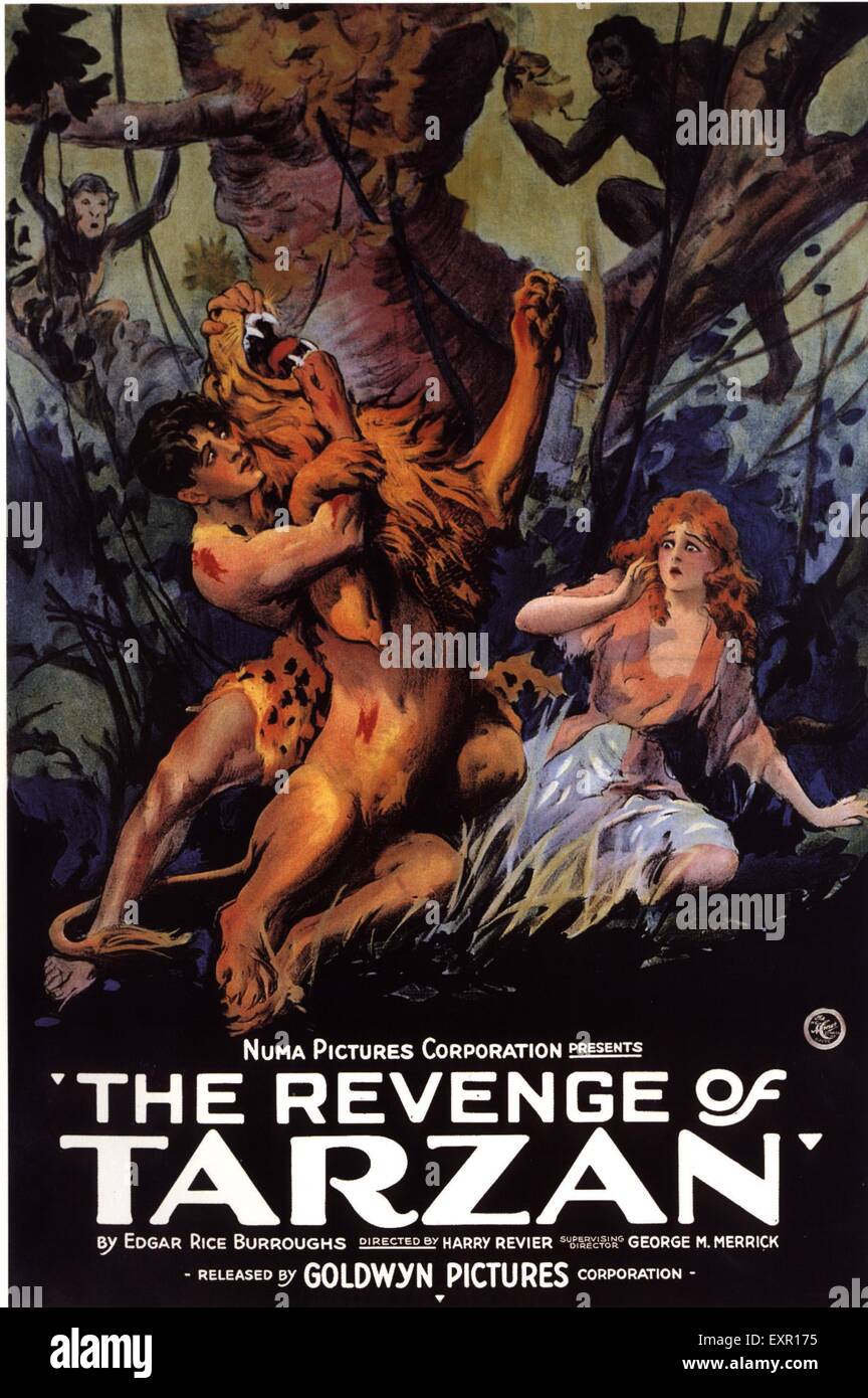 1920 USA La revanche de Tarzan affiche de film Banque D'Images