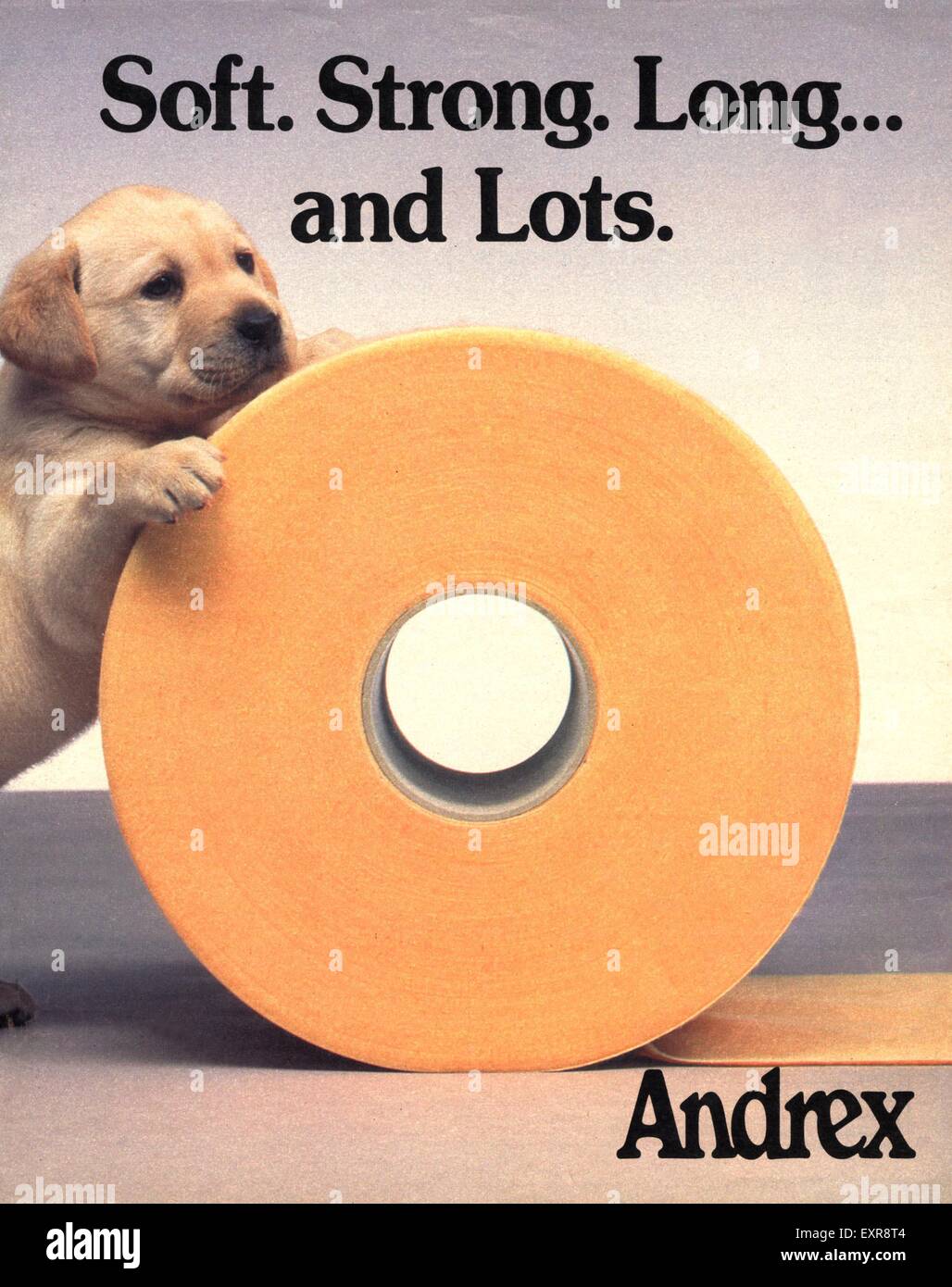 1990 UK Magazine annonce Andrex Banque D'Images