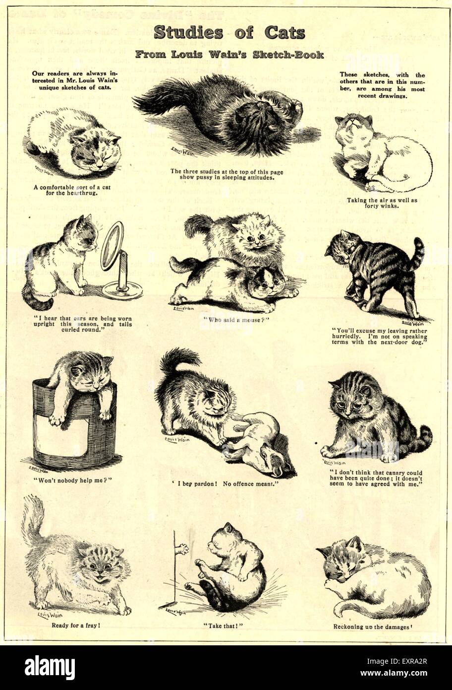 Années 1840 & plaque pré UK Cats Magazine Banque D'Images