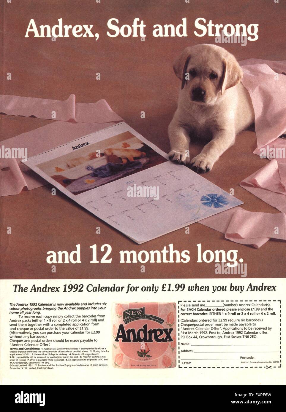 1970 UK Magazine annonce Andrex Banque D'Images