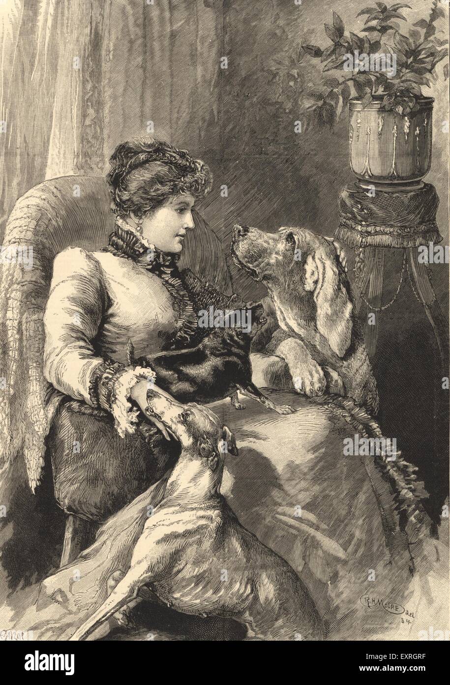 1880 UK Une dame avec ses chiens Plaque Magazine Banque D'Images