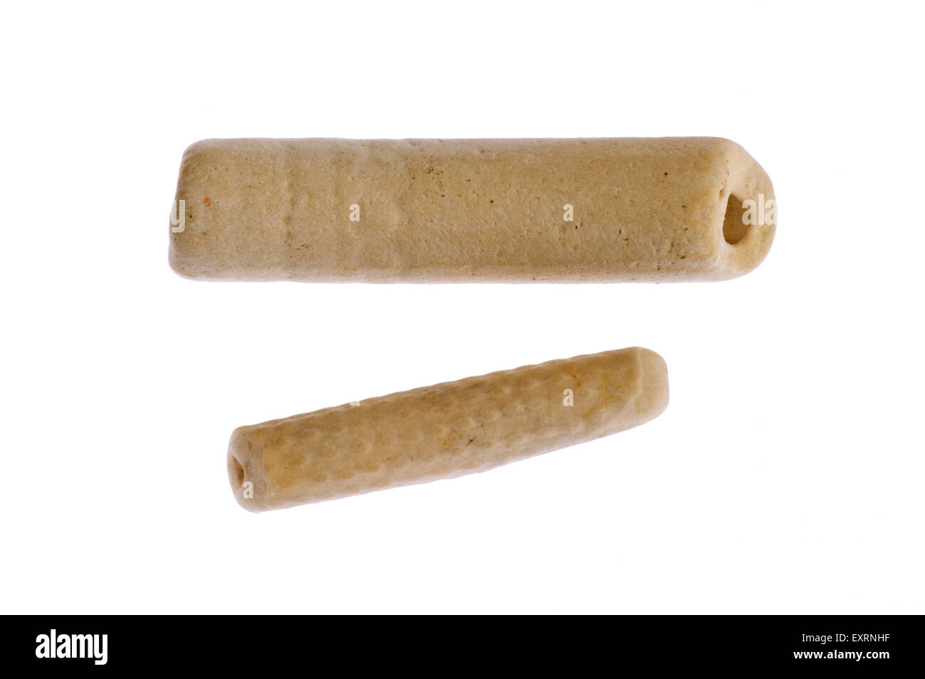 Des fragments de fossiles de lys de mer (Crinozoa sp.) sur fond blanc Banque D'Images