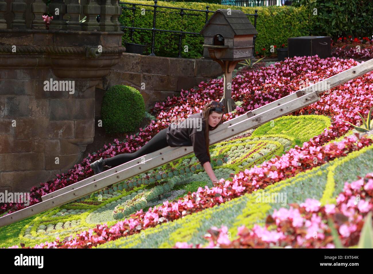 Edinburgh UK. 16 juillet. Horloge florale célèbre, qui fête cette année dix ans d'Edimbourg comme Ville UNESCO de la littérature. Édimbourg. Photo Jillian Denney. Pako Mera/Alamy Live News Banque D'Images
