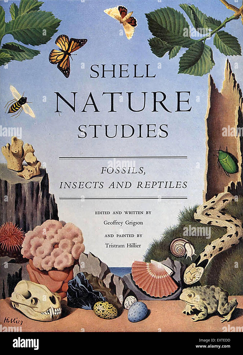 1950 UK Nature Shell Studies fossiles, insectes et reptiles Couverture de livre Banque D'Images