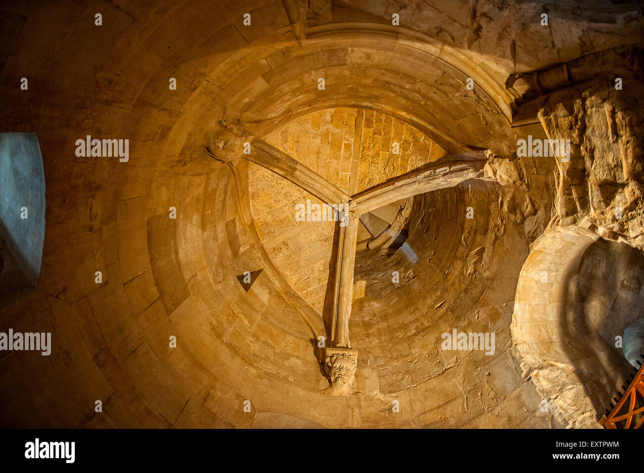 Italie Pouilles Castel del Monte - Le château de Federico II di Svevia -plafond de l'escalier en spirale Banque D'Images