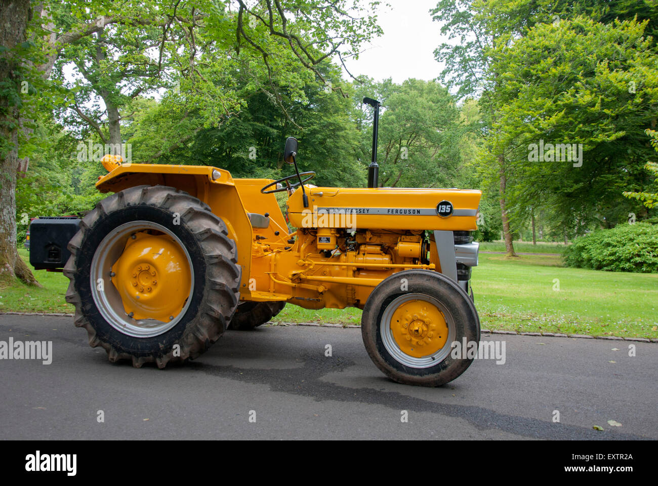 1966 Massey Ferguson 135 jaune vif Tracteur Banque D'Images