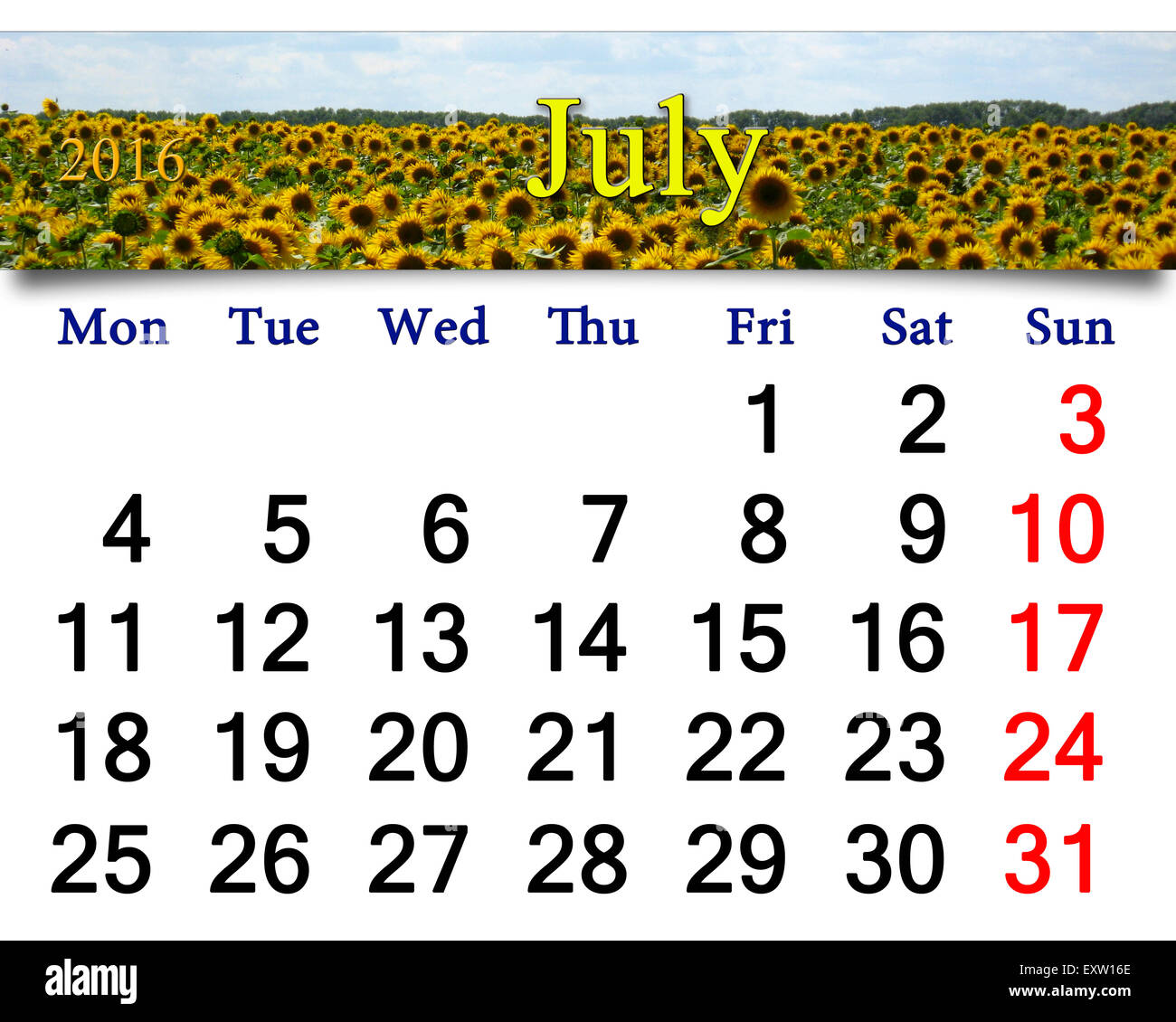 Calendrier pour juillet 2016 avec fragment de mouche sur le jaune tournesol Banque D'Images