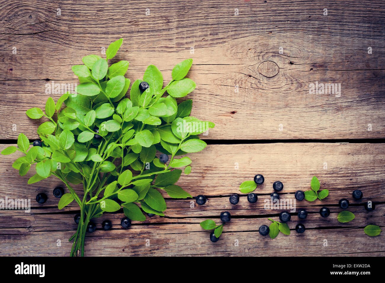 Direction générale des bleuets avec des feuilles et des baies bleu sur fond de bois ancien. Vintage stylisée. Banque D'Images