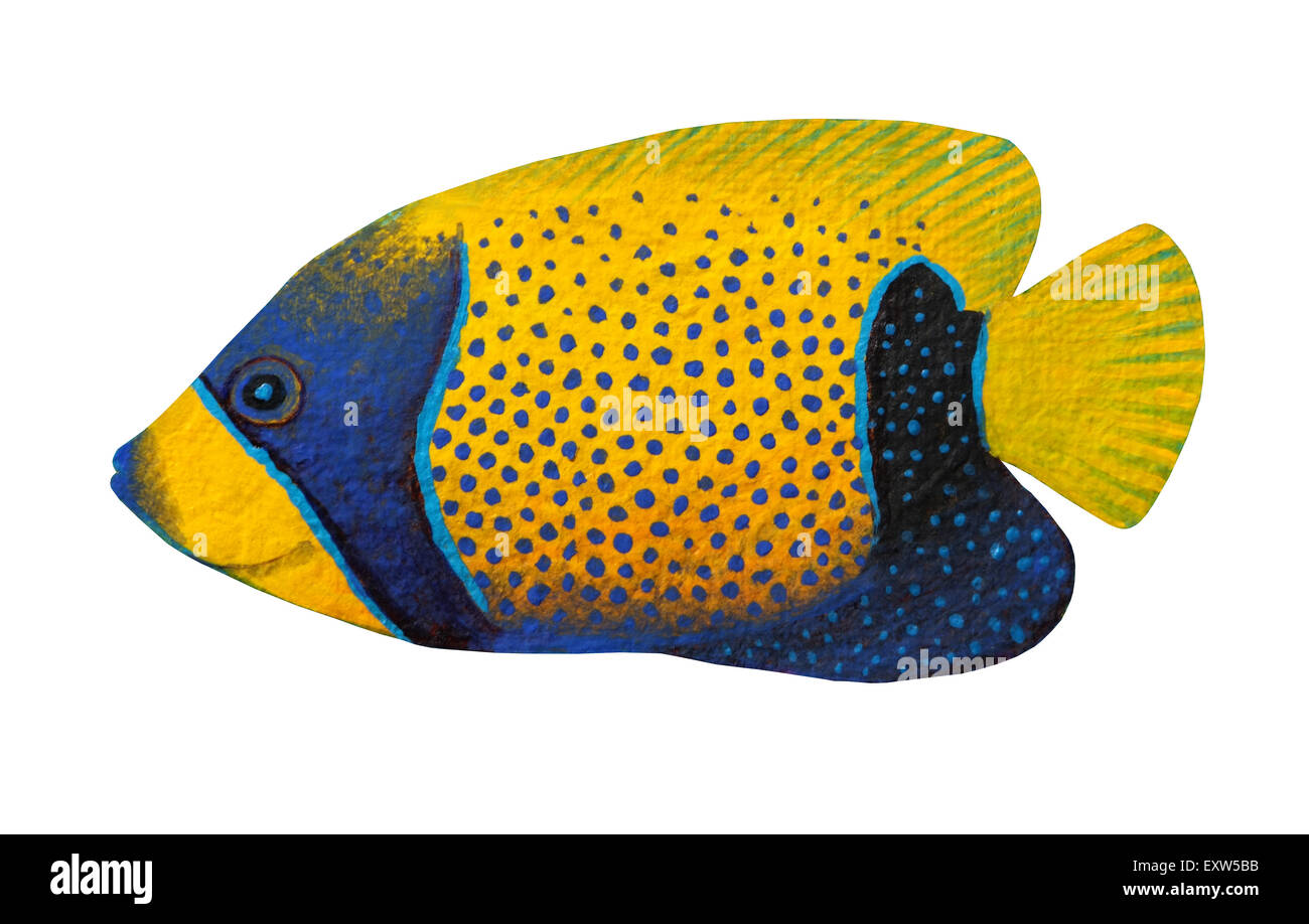 Angelfish Royal Peinture acrylique originale isolé sur fond blanc Banque D'Images