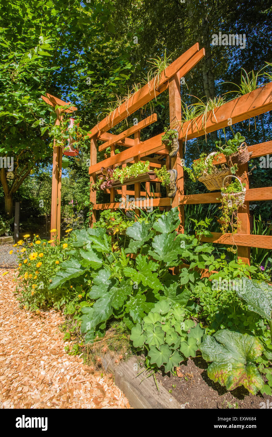 Beau jardin de fleurs et de légumes vertical sur de plus en plus et au-dessous d'un treillis en bois à Bellevue, Washington, USA Banque D'Images