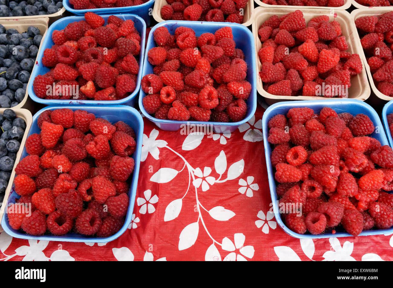 Cartouches de framboises et bleuets côte à côte à un marché de producteurs à Vancouver. BC, Canada Banque D'Images