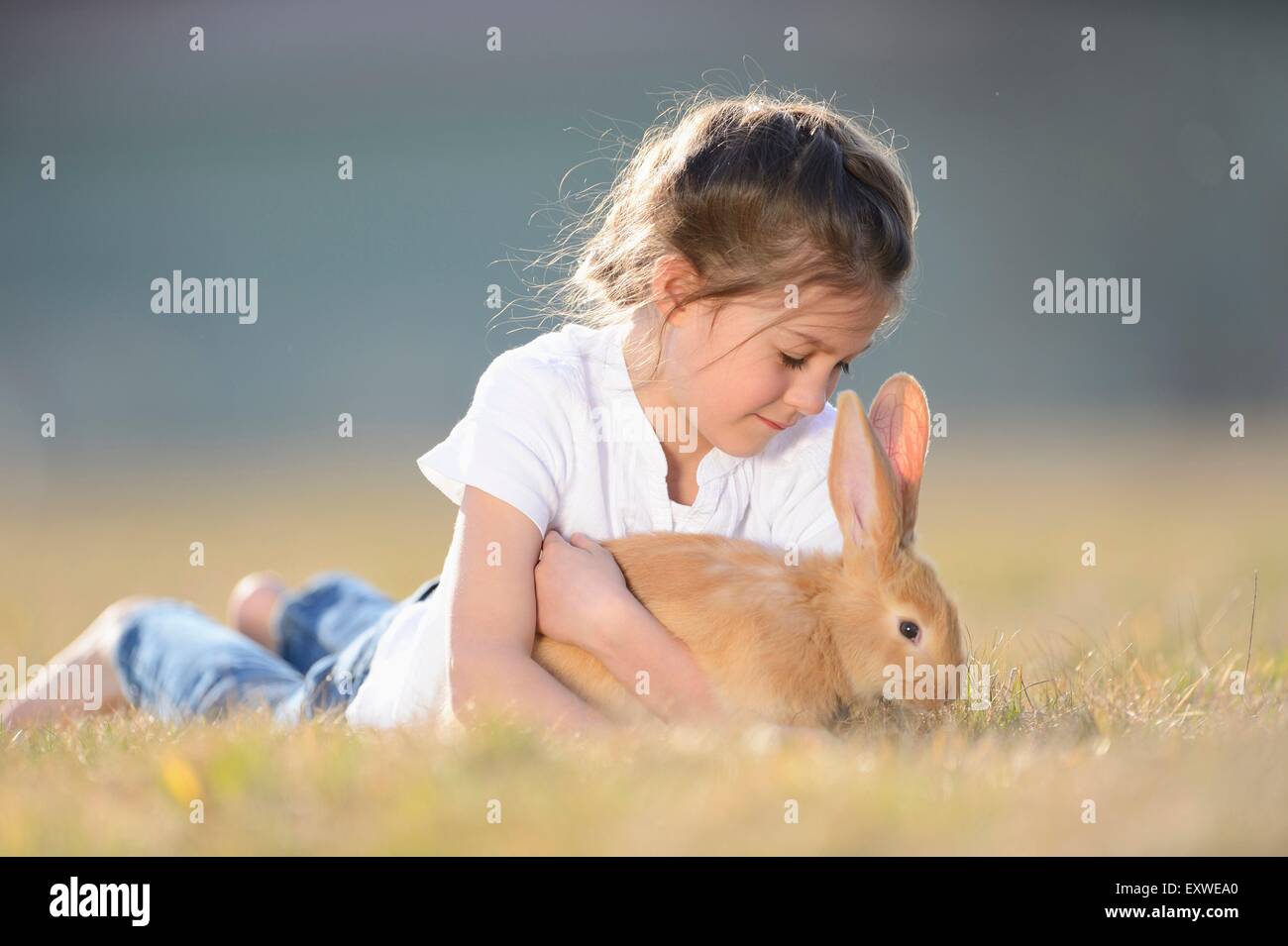 Fille avec son lapin sur pré, Haut-Palatinat, Bavaria, Germany, Europe Banque D'Images