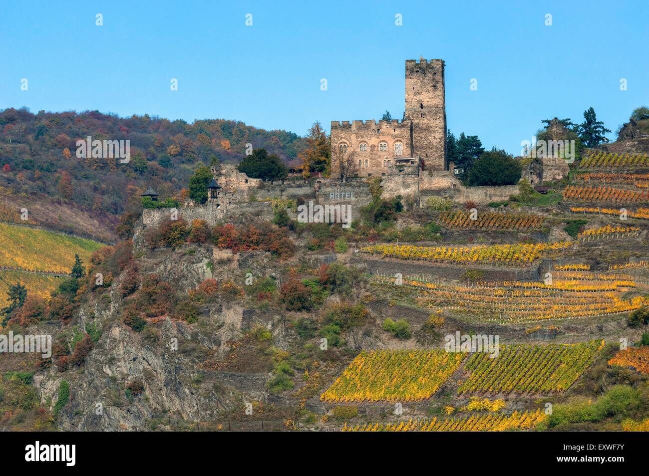 Château Gutenfels, Rhénanie-Palatinat, Allemagne Banque D'Images