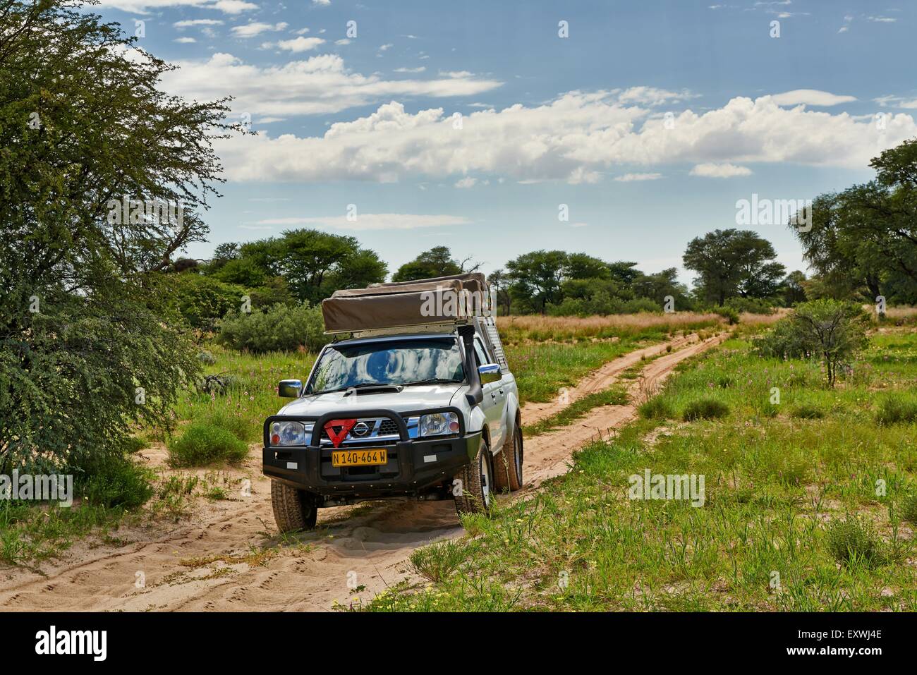 4x4 dans la région de Kgalagadi Transfrontier Park, Kalahari, Botswana, Afrique du Sud Banque D'Images