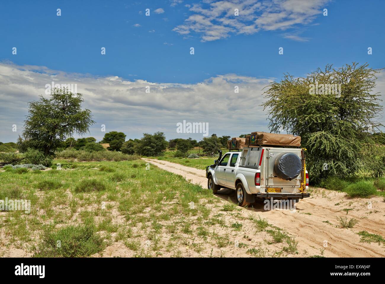 4x4 dans la région de Kgalagadi Transfrontier Park, Kalahari, Botswana, Afrique du Sud Banque D'Images