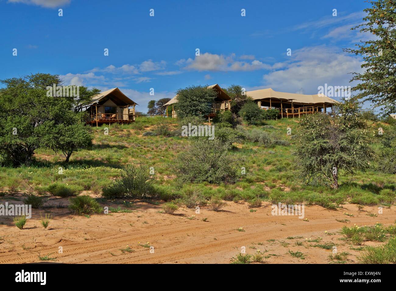 Polentswa Tented Camp, Kgalagadi Transfrontier Park, Kalahari, Afrique du Sud, Botsuana Banque D'Images