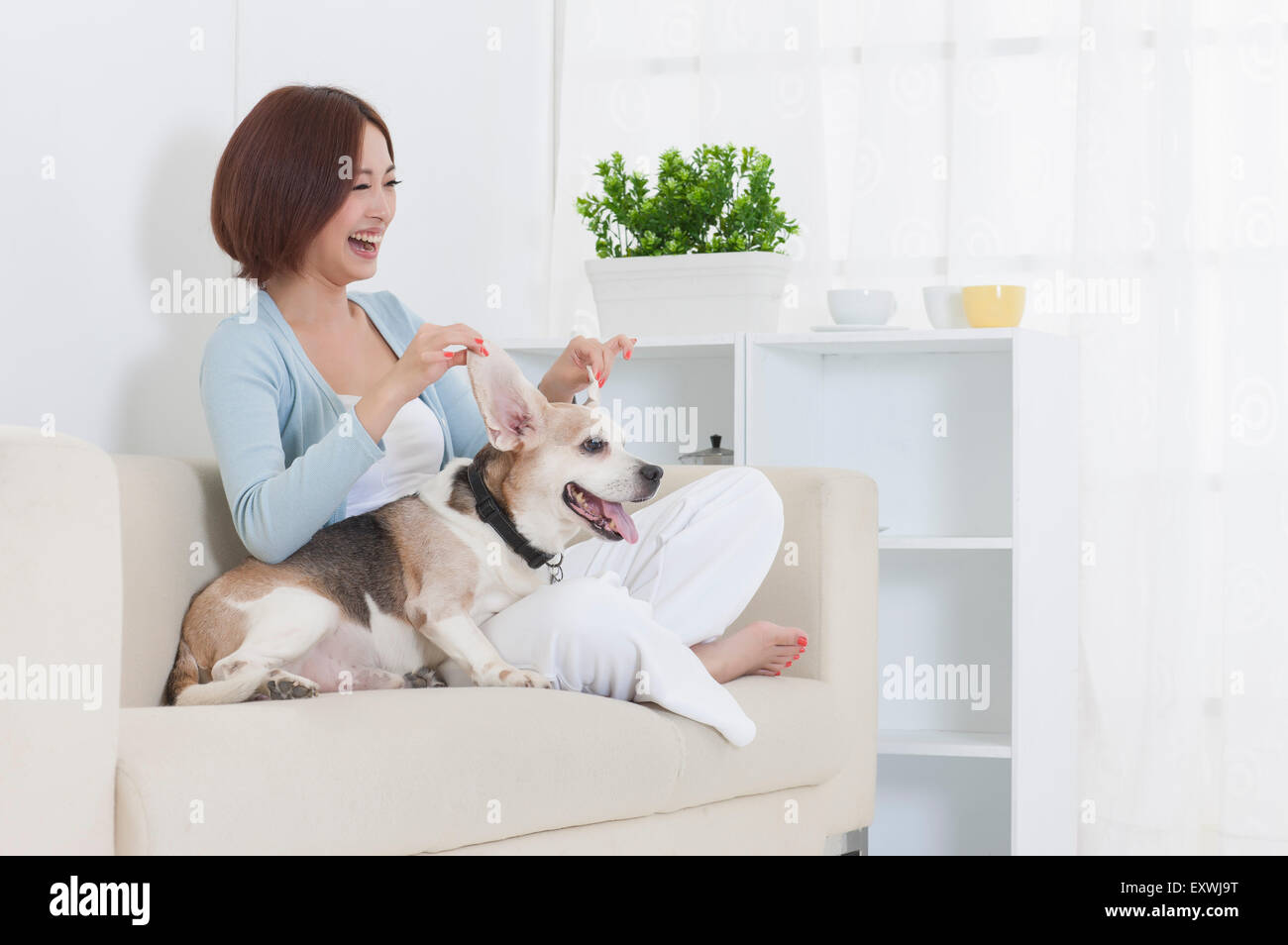 Jeune femme assise sur le canapé et jouer avec le chien, Banque D'Images