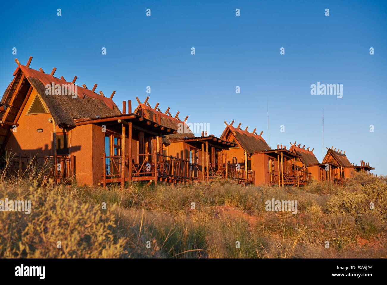 Xaus Lodge, Kgalagadi Transfrontier Park, Kalahari, Afrique du Sud, Botsuana Banque D'Images