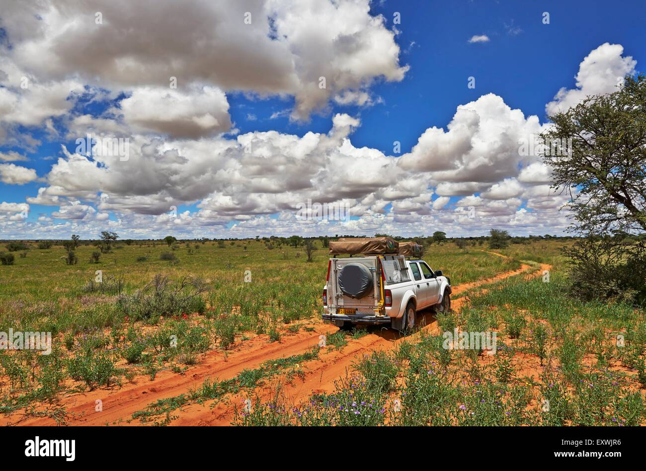 4x4 dans la région de Kgalagadi Transfrontier Park, Kalahari, Botswana, Afrique du Sud Banque D'Images
