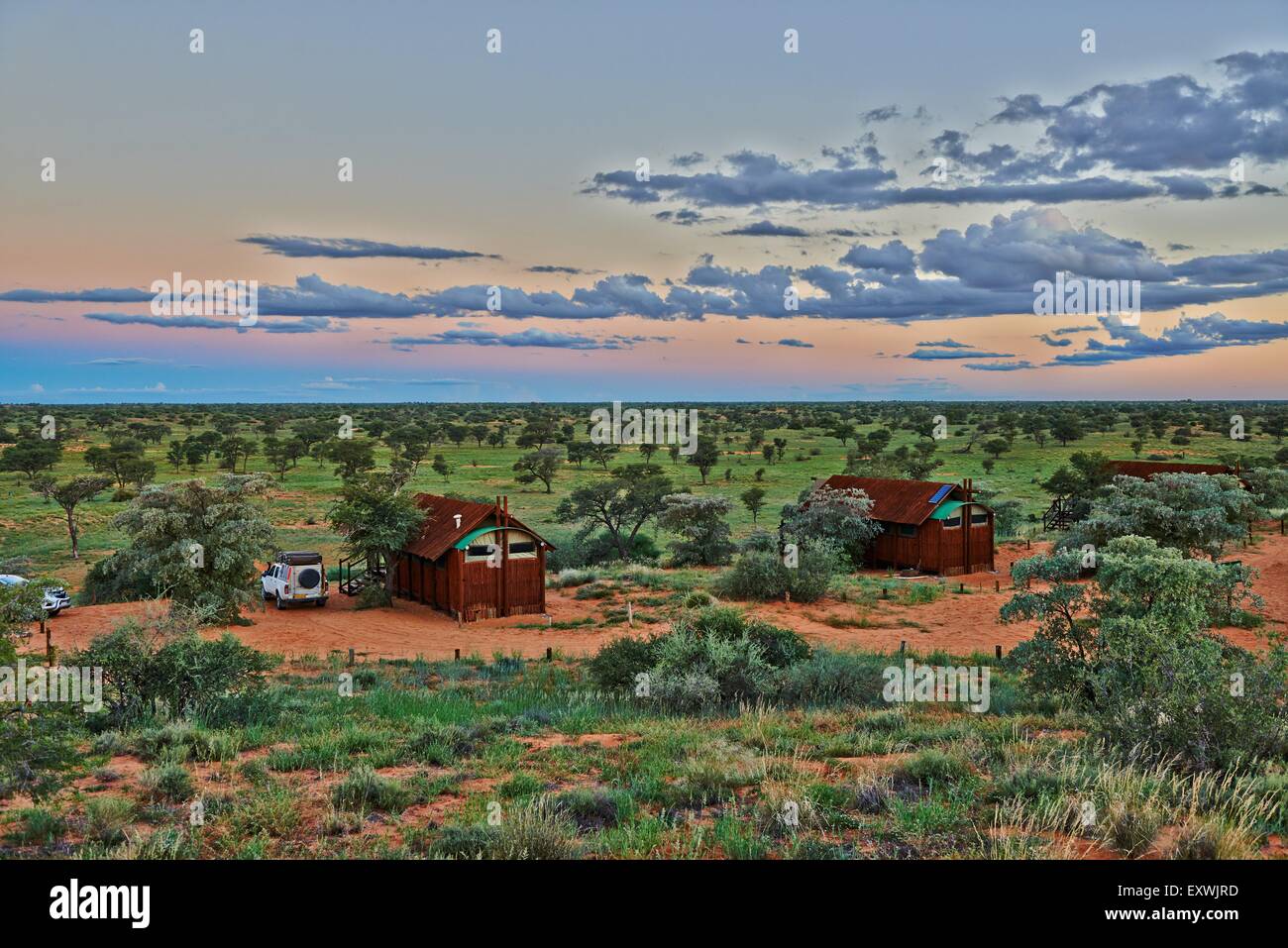 Kgalagadi Transfrontier Park, Kalahari, Afrique du Sud, Botsuana Banque D'Images