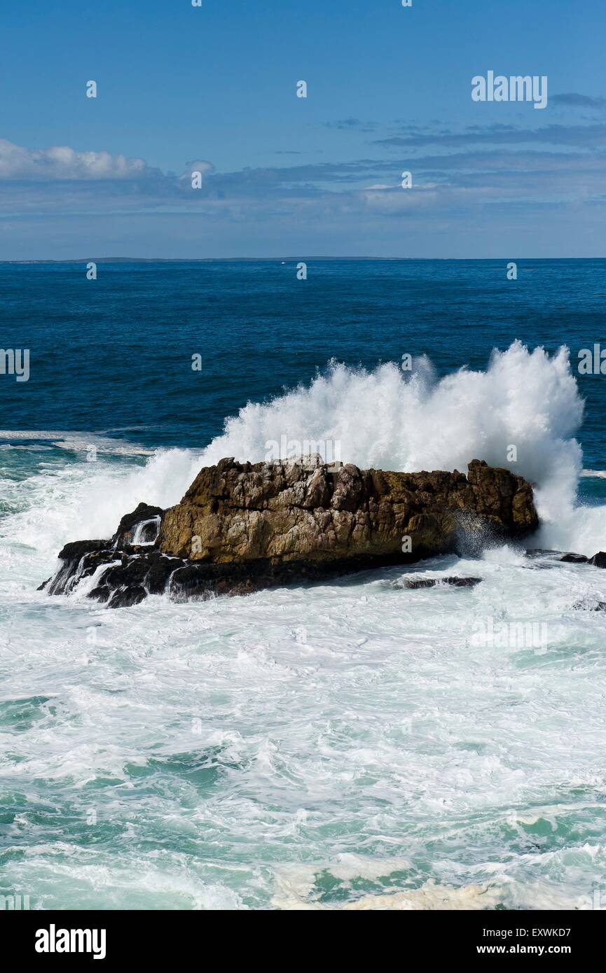 L'écrasement de l'onde sur les roches, Hermanus, Afrique du Sud Banque D'Images