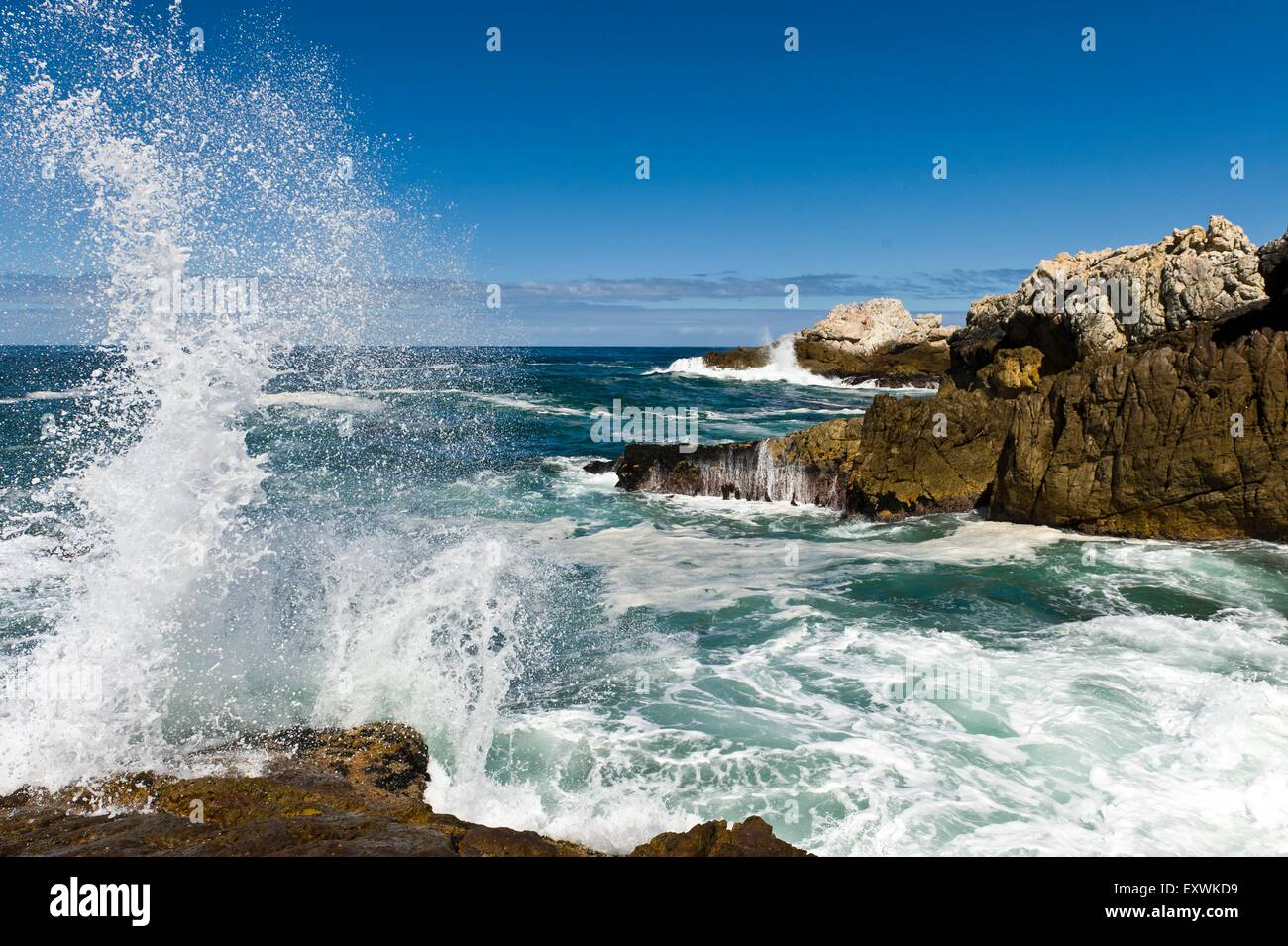L'écrasement de l'onde sur les roches, Hermanus, Afrique du Sud Banque D'Images