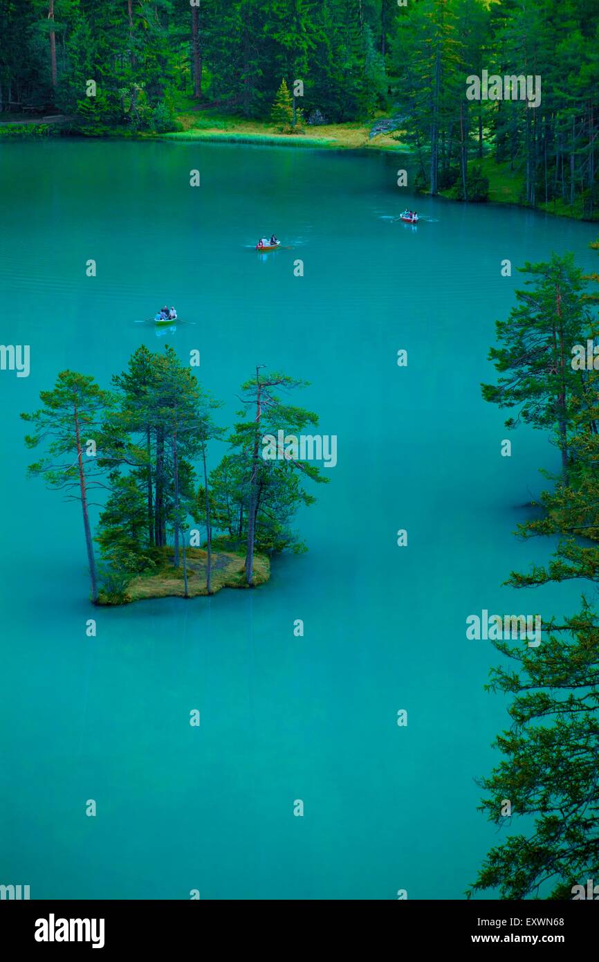 Dans les pins, Fernsteinsee Nassereith, Tyrol, Autriche Banque D'Images