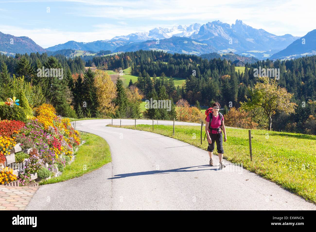 Femme randonnée dans Lammertal, Salzburger Land, Autriche, Europe Banque D'Images