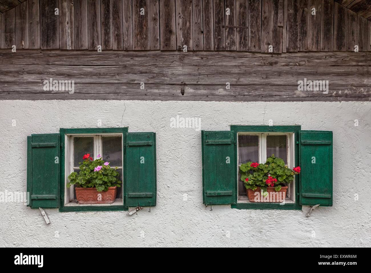 Fenêtres d'une ferme avec les jardinières, Salzburger Land, Autriche, Europe Banque D'Images