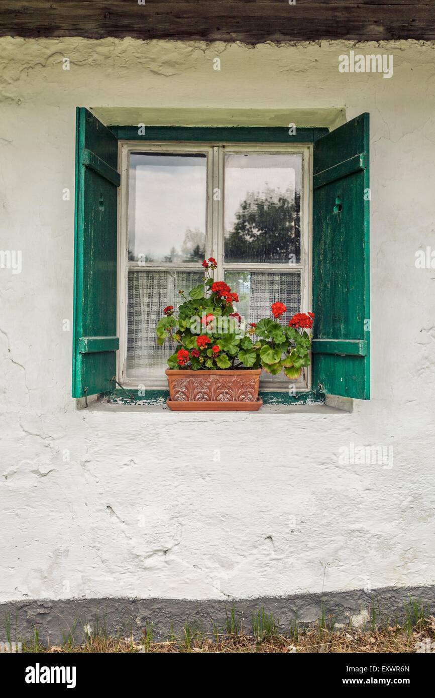 Fenêtre d'une ferme avec fenêtre boxe, Salzburger Land, Autriche, Europe Banque D'Images