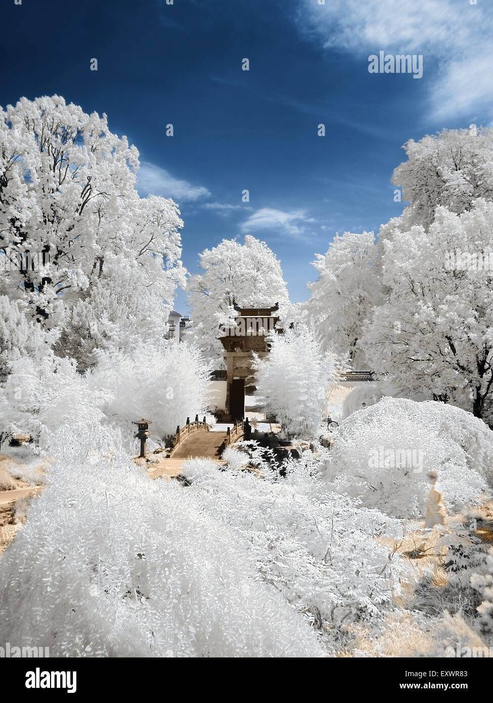 Jardin Chinois, la photographie infrarouge Banque D'Images