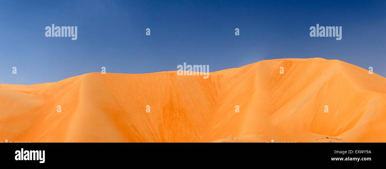 Désert de dunes, Abu Dhabi, Émirats Arabes Unis Banque D'Images