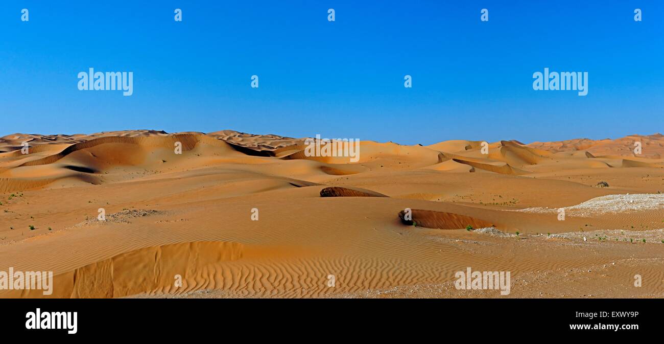 Désert de dunes, Abu Dhabi, Émirats Arabes Unis Banque D'Images