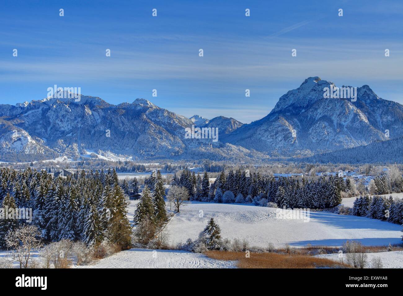 Château de Neuschwanstein, Alpes, Allgaeu, Bavaria, Germany, Europe Banque D'Images