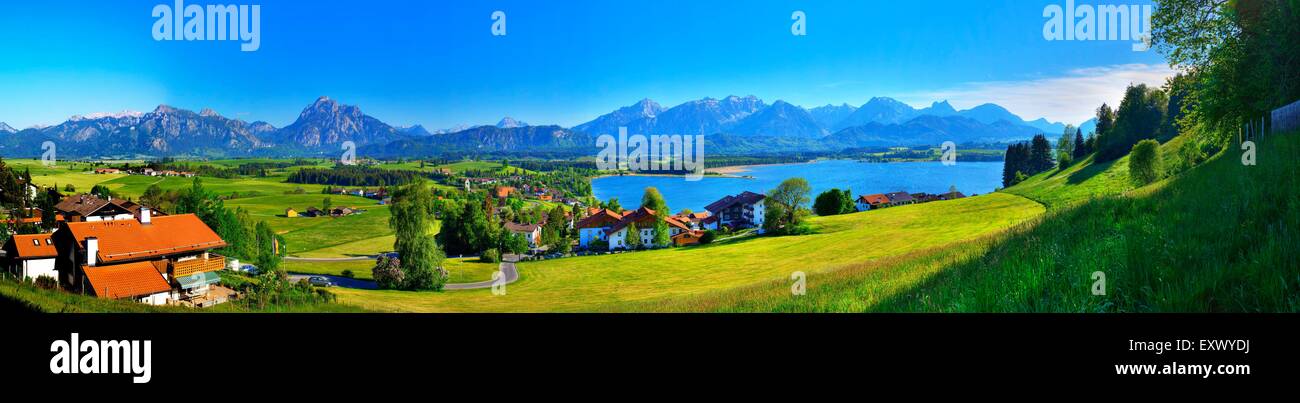 Château de Neuschwanstein, Alpes, Bavaria, Germany, Europe Banque D'Images