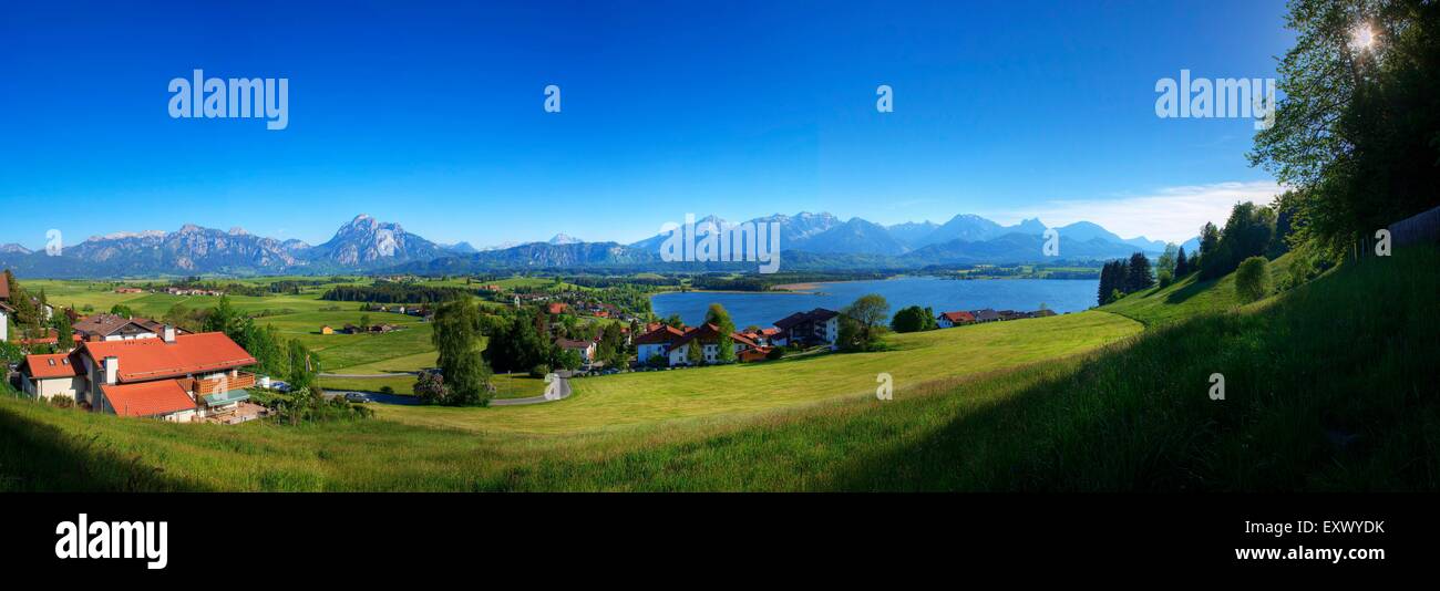 Château de Neuschwanstein, Alpes, Bavaria, Germany, Europe Banque D'Images