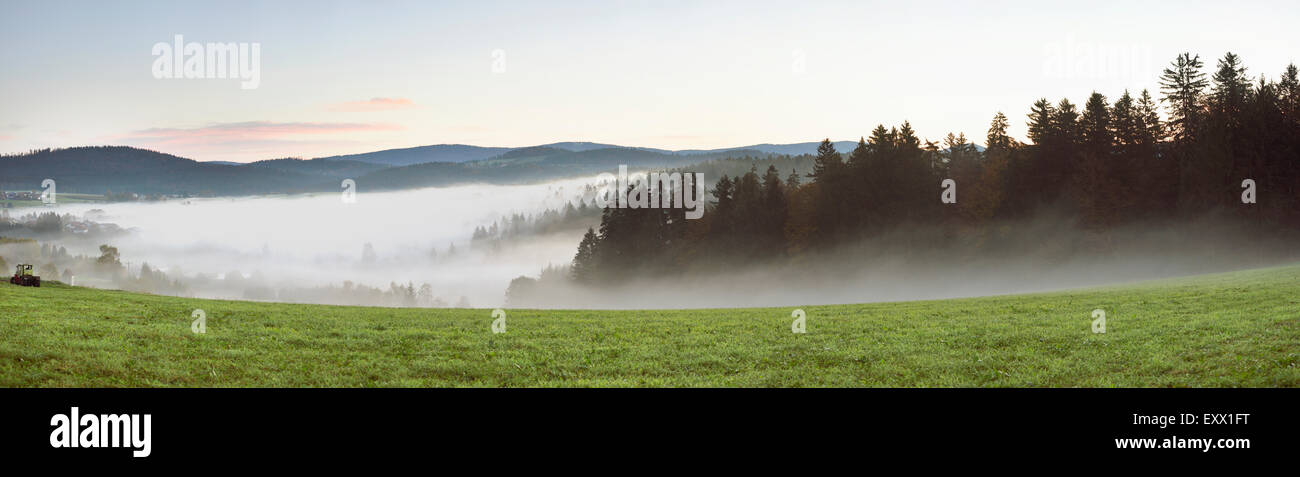 Parc National de la forêt bavaroise, Bavaria, Germany, Europe Banque D'Images