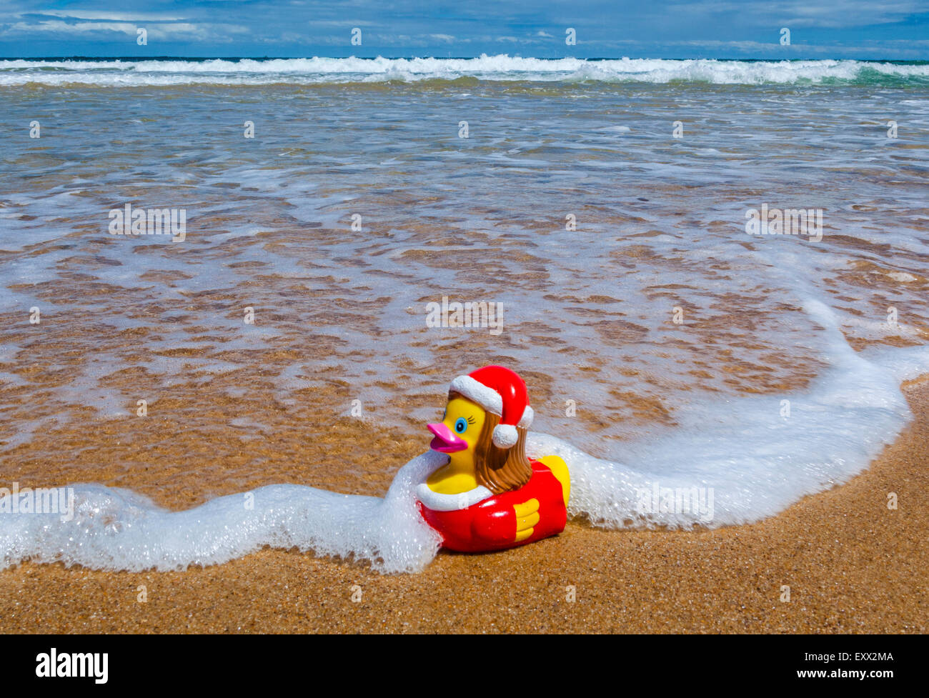 Noël d'été de l'hémisphère sud, noël canard en caoutchouc à Putty Beach, Central Coast, New South Wales, Australie Banque D'Images