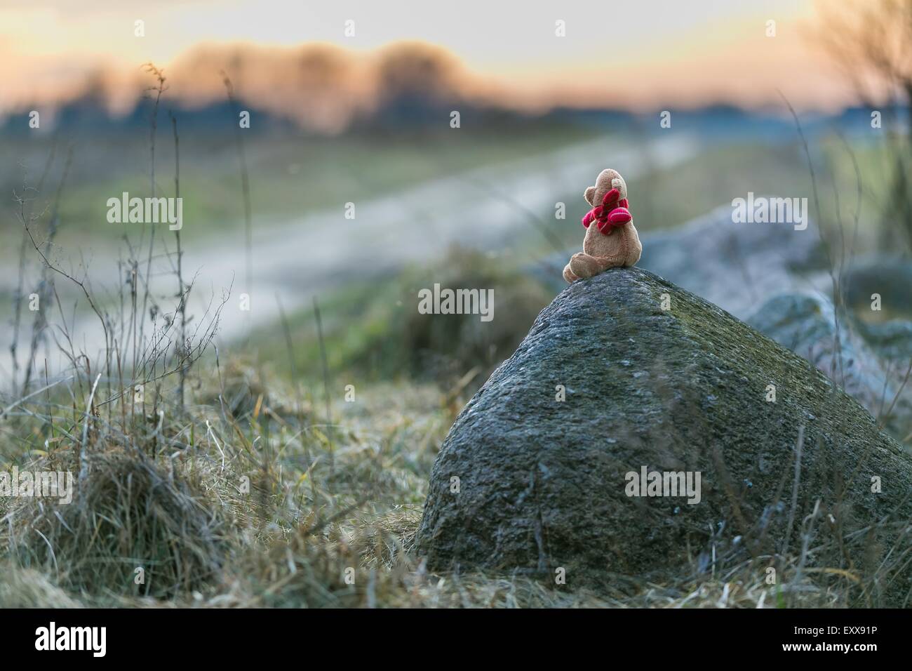 Petit ours en peluche assis sur la pierre dans un paysage rural au coucher du soleil Banque D'Images