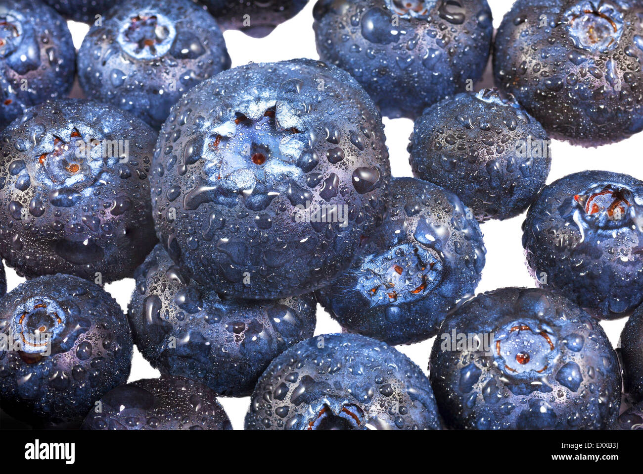 Bleuets frais fruits avec des gouttes d'eau. Banque D'Images