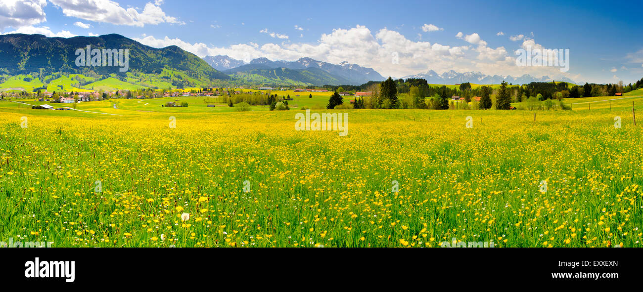 Paysage panoramique en Bavière avec les montagnes des Alpes et meadow au printemps Banque D'Images