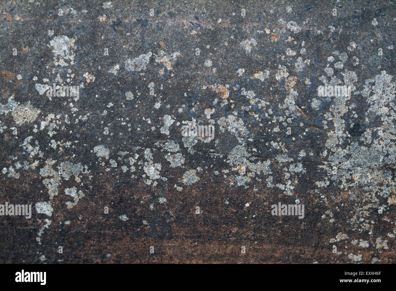 Mur texture background Banque D'Images