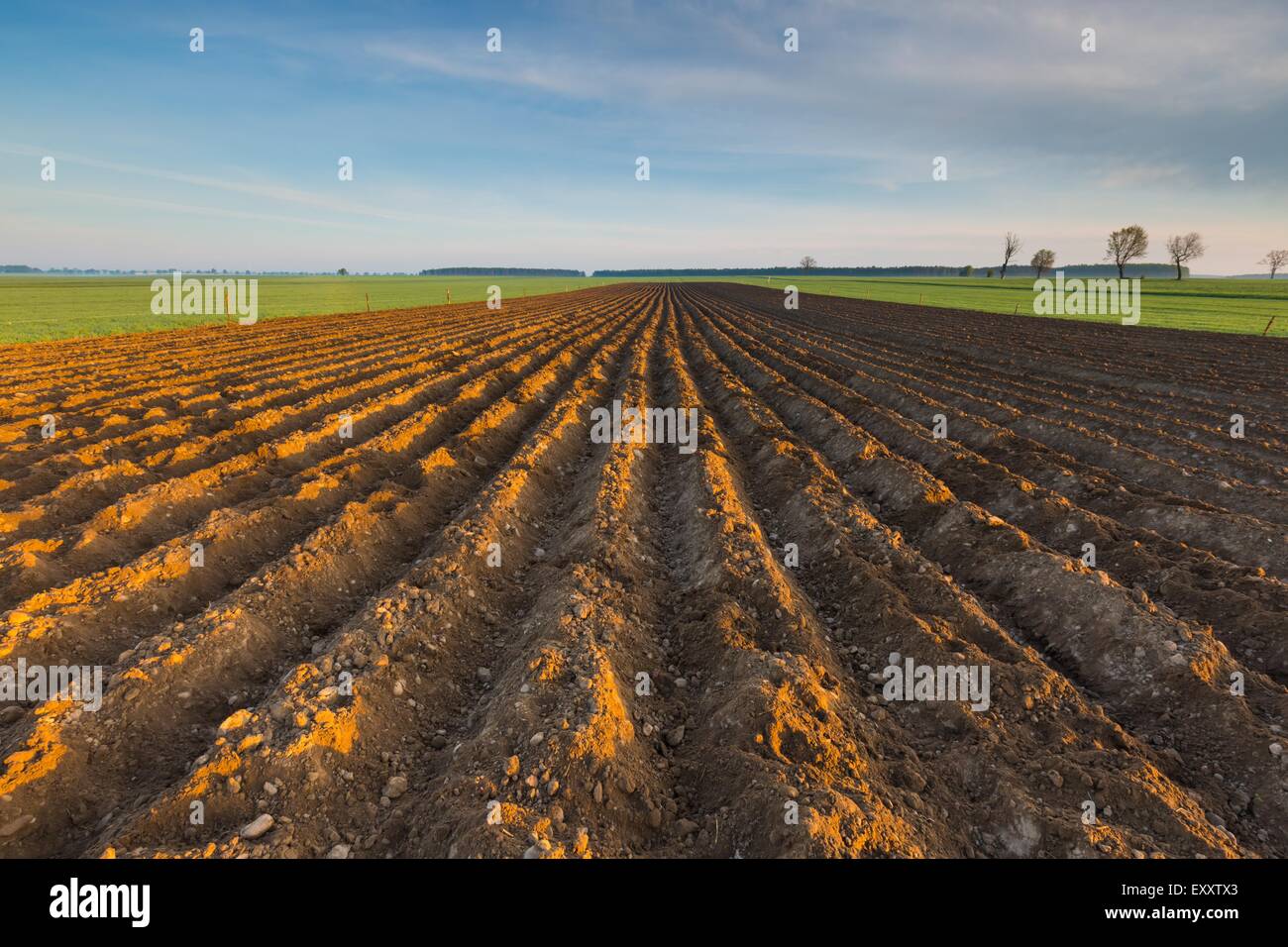 Champ labouré dans le calme paysage campagne polonaise. Paysage de printemps Banque D'Images