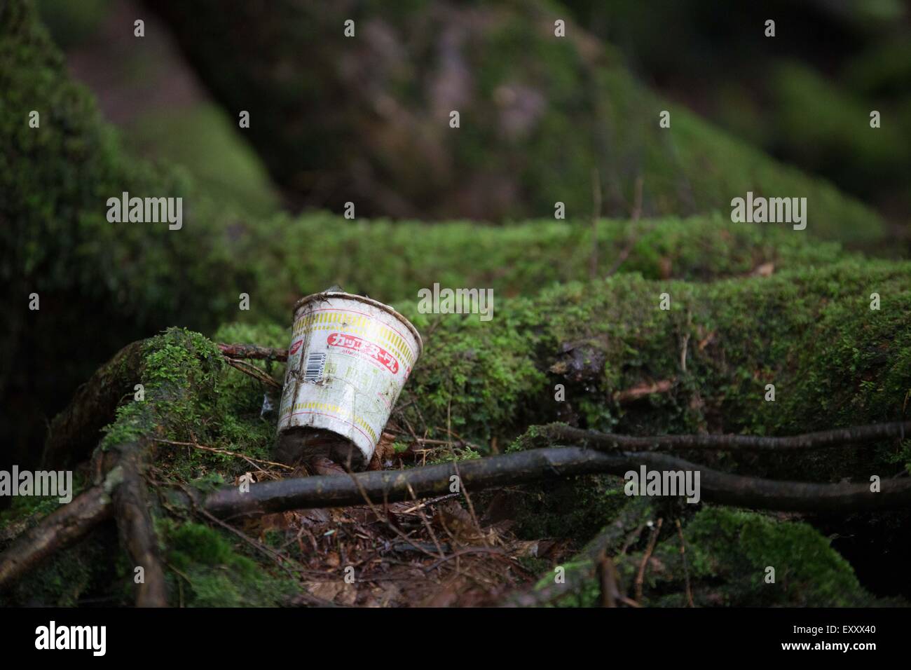 Jul 15, 2012 - Aokigahara, Japon - une tasse de papier se trouve sur le sol de la forêt. Une estimation prudente de 27 000 personnes se suicident chaque année au Japon, c'est une personne toutes les 20 minutes. Plus de 70 personnes terminent leur vie au Japon chaque jour, et le suicide est devenu la première cause de décès chez les hommes âgés de 20 à 44 ans. Au pied de l'emblématique Japon Mt. Fuji, qui gisent parmi certains des paysages les plus majestueux au Japon, est un tel lieu. À la base de ce village pittoresque de montagne se trouve la destination hantée des âmes brisées connu sous le nom de Aokigahara, souvent appelée la 'mer d'arbres" et plus dans Banque D'Images