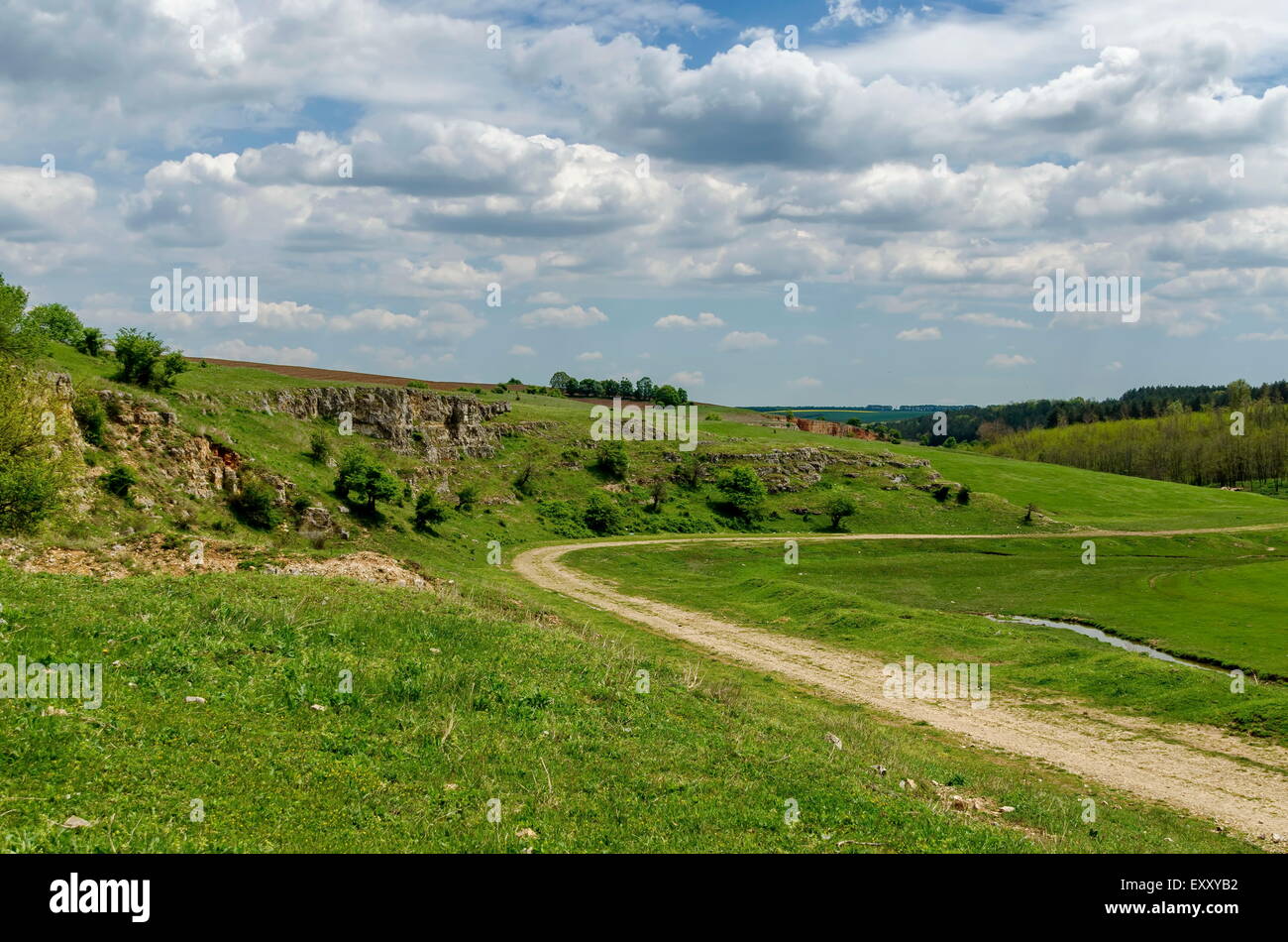 Vue générale vers la roche sédimentaire dans le domaine, Ludogorie, Bulgarie Banque D'Images