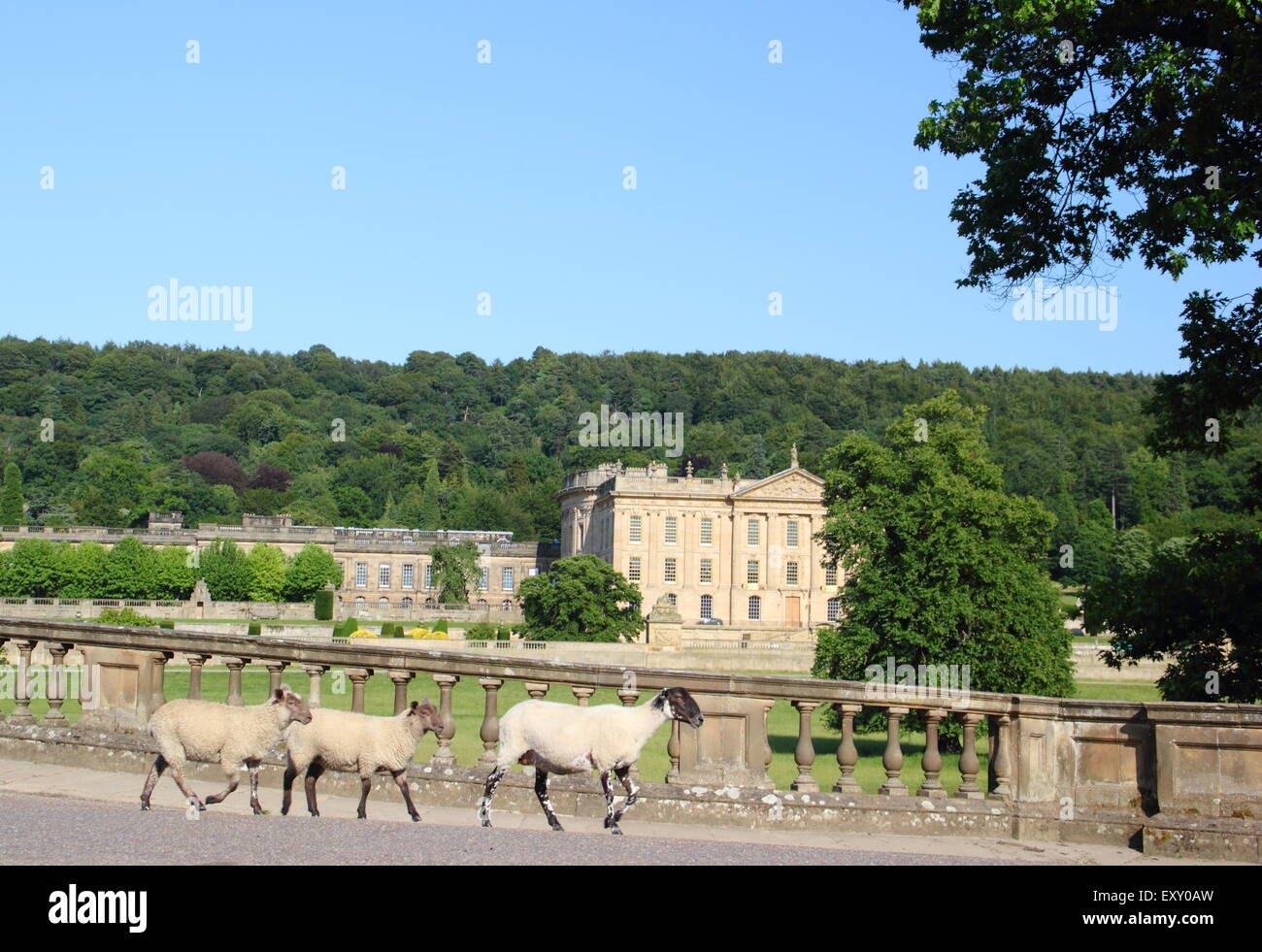 Chatsworth House, un manoir anglais historique dans le parc national de Peak District, Derbyshire, Angleterre, Royaume-Uni Banque D'Images