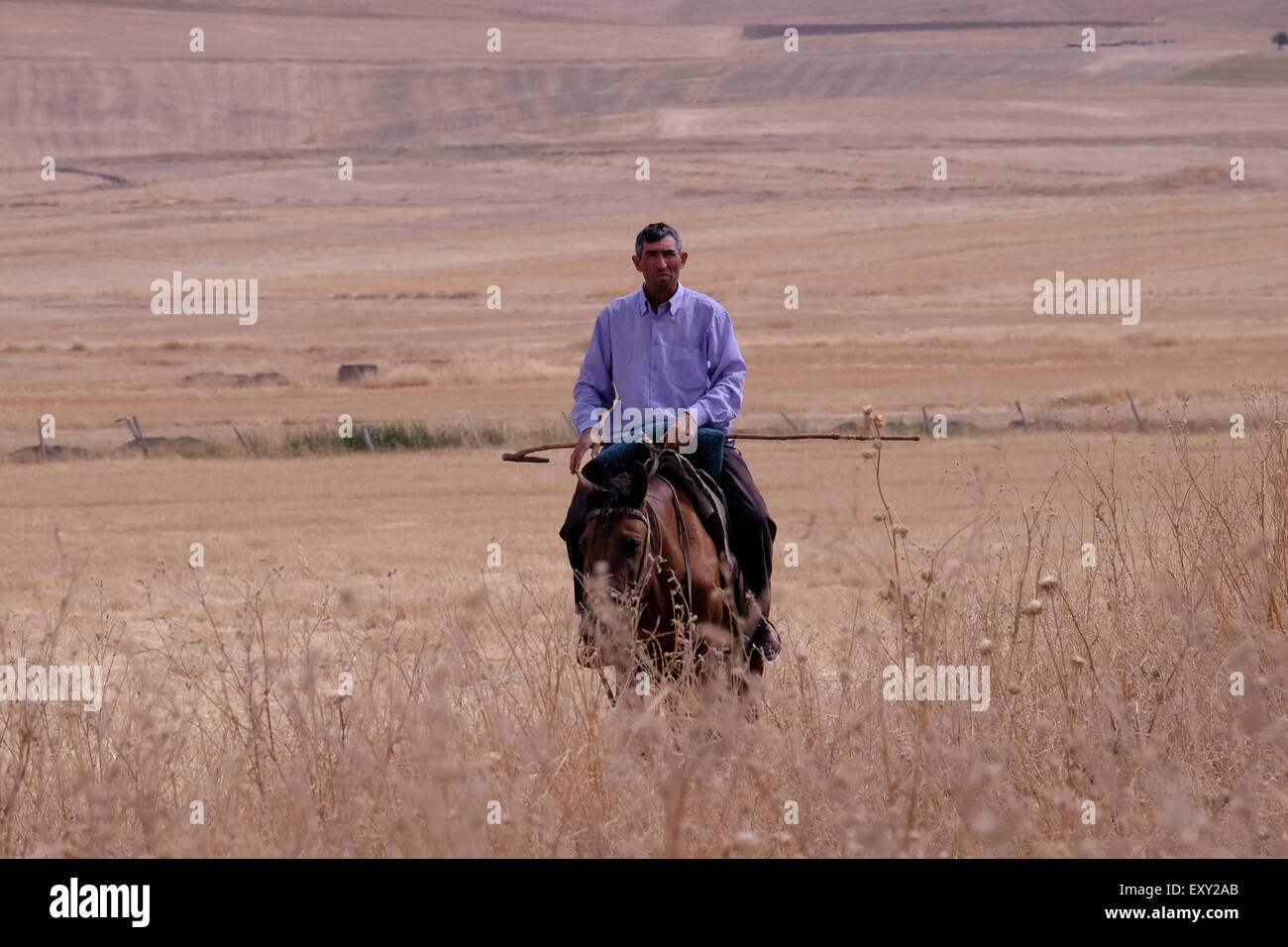 Un villageois monté sur un cheval dans le district de Gobustan en Azerbaïdjan Banque D'Images