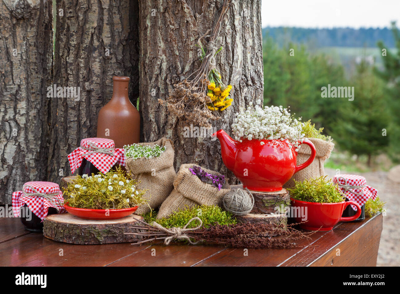 Sacs de jute avec herbes curatives, Red Teapot et pots de confiture santé. La forêt sur l'arrière-plan. Banque D'Images
